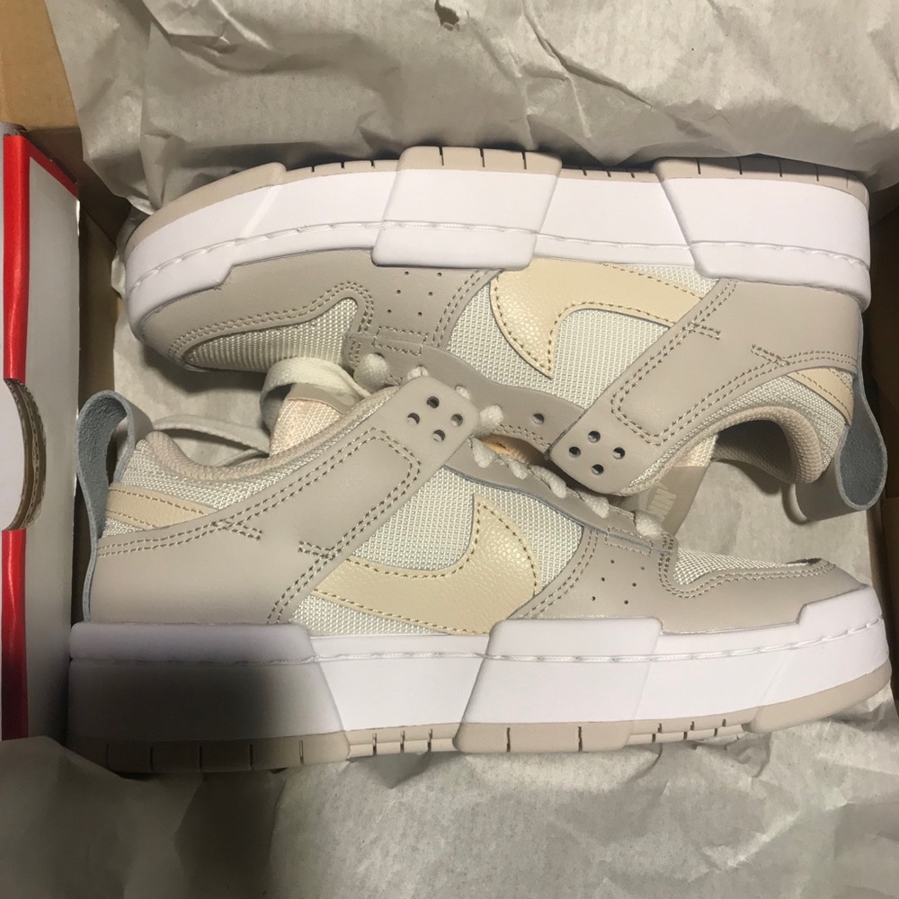 Nike Dunk Low Disrupt